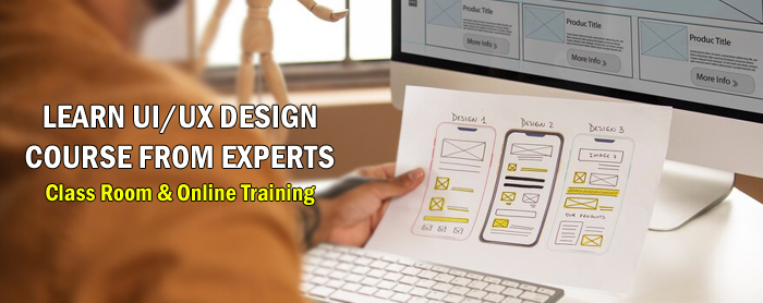 UI/UX Designing Course UI/UX Design Training Institute Hyderabad